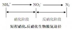 烟气在线监测系统厂家分享-短程硝化反硝化与同步硝化反硝化的区别及影响因