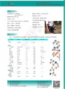 进口VOC便携PID检测仪详细资料报告